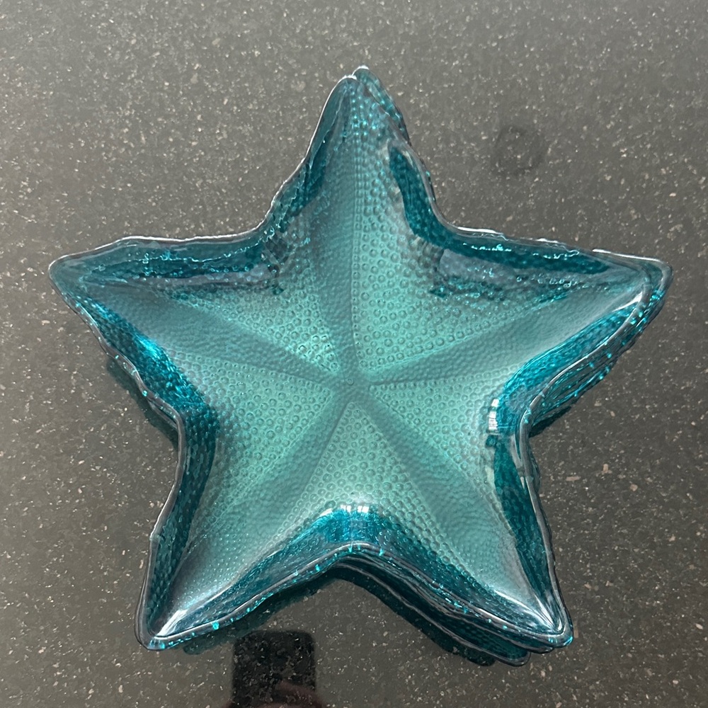 Set of 4 Teal Starfish plates